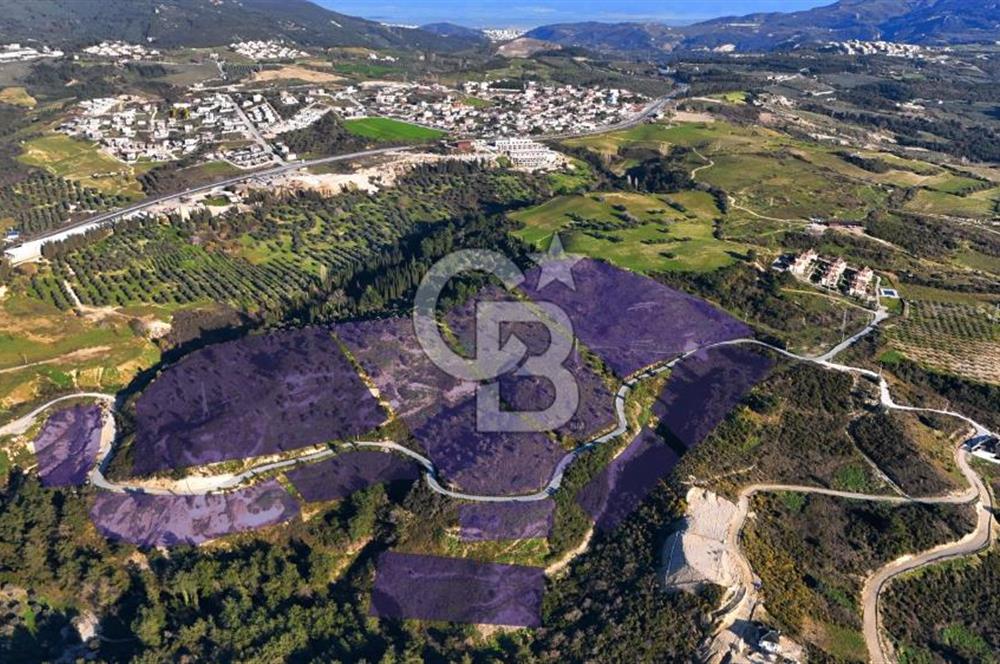 Satılık Kuşadası Soğucak'ta 15/30 Konut Emsalli Arsa
