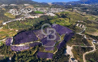 Satılık Kuşadası Soğucak'ta 15/30 Konut Emsalli Arsa