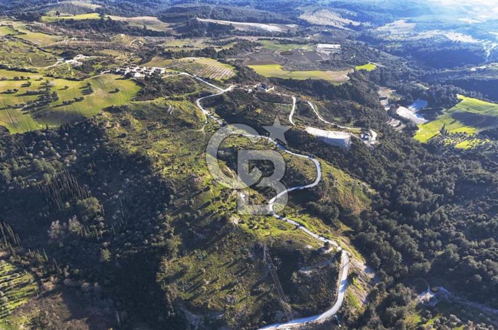 Satılık Kuşadası Soğucak'ta 15/30 Konut Emsalli Arsa