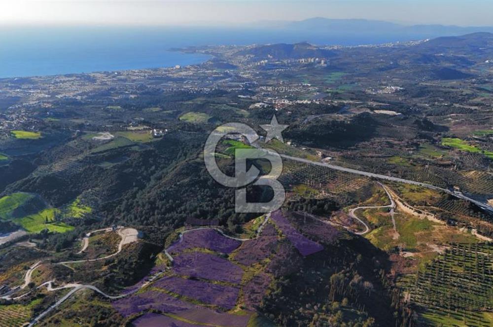 Satılık Kuşadası Soğucak'ta 15/30 Konut Emsalli Arsa