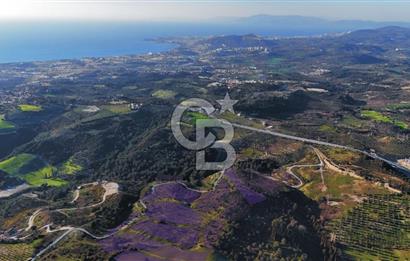 Satılık Kuşadası Soğucak'ta 15/30 Konut Emsalli Arsa