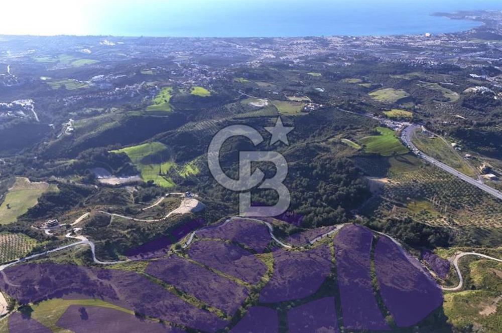 Satılık Kuşadası Soğucak'ta 15/30 Konut Emsalli Arsa