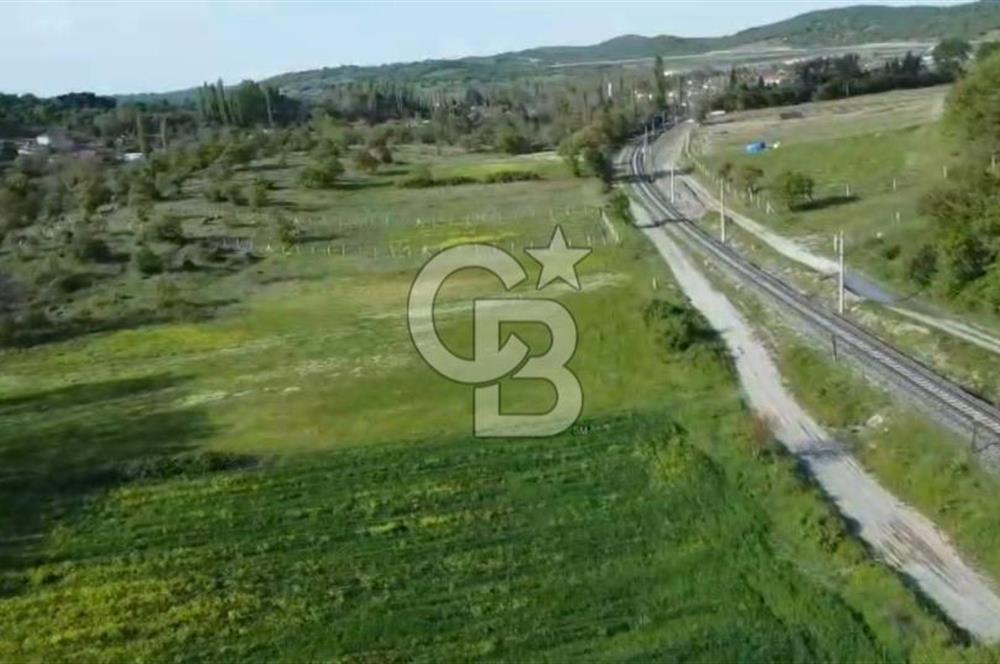 CB KİNG'DEN SAVAŞTEPE/SOĞUCAK MAHALLESİ 4252 m² SATILIK TARLA