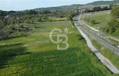 CB KİNG'DEN SAVAŞTEPE/SOĞUCAK MAHALLESİ 4252 m² SATILIK TARLA