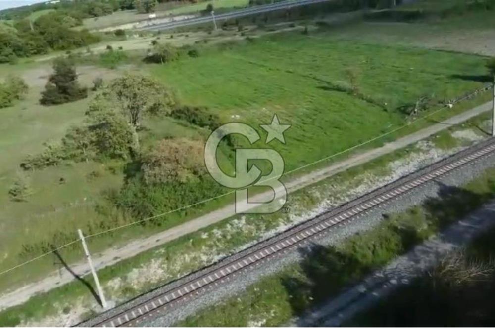 CB KİNG'DEN SAVAŞTEPE/SOĞUCAK MAHALLESİ 4252 m² SATILIK TARLA