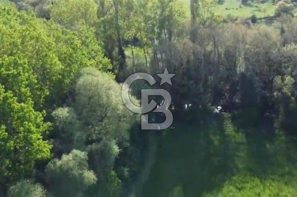 CB KİNG'DEN SAVAŞTEPE/SOĞUCAK MAHALLESİ 4252 m² SATILIK TARLA