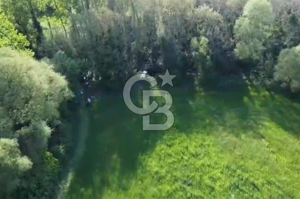 CB KİNG'DEN SAVAŞTEPE/SOĞUCAK MAHALLESİ 4252 m² SATILIK TARLA