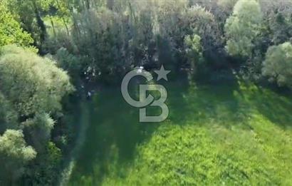 CB KİNG'DEN SAVAŞTEPE/SOĞUCAK MAHALLESİ 4252 m² SATILIK TARLA
