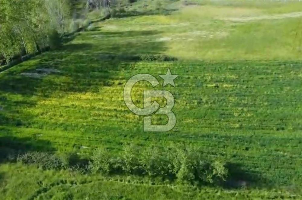 CB KİNG'DEN SAVAŞTEPE/SOĞUCAK MAHALLESİ 4252 m² SATILIK TARLA