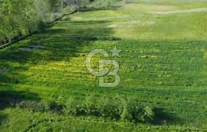 CB KİNG'DEN SAVAŞTEPE/SOĞUCAK MAHALLESİ 4252 m² SATILIK TARLA
