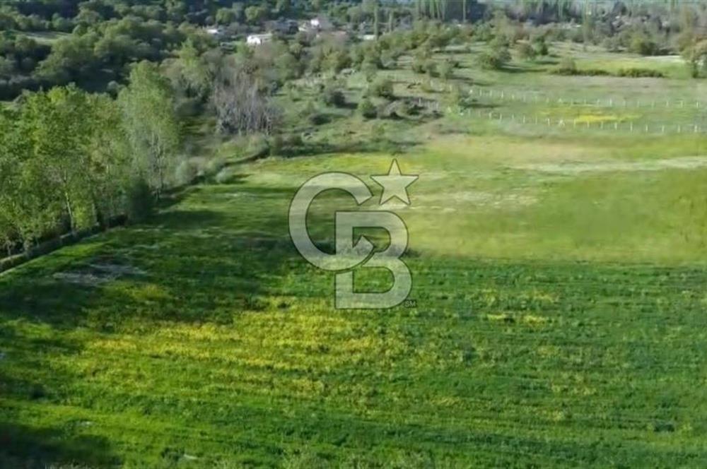 CB KİNG'DEN SAVAŞTEPE/SOĞUCAK MAHALLESİ 4252 m² SATILIK TARLA