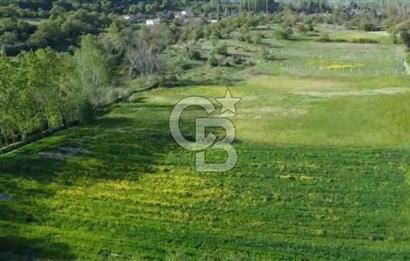 CB KİNG'DEN SAVAŞTEPE/SOĞUCAK MAHALLESİ 4252 m² SATILIK TARLA