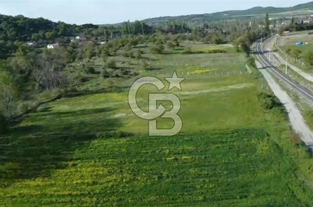 CB KİNG'DEN SAVAŞTEPE/SOĞUCAK MAHALLESİ 4252 m² SATILIK TARLA