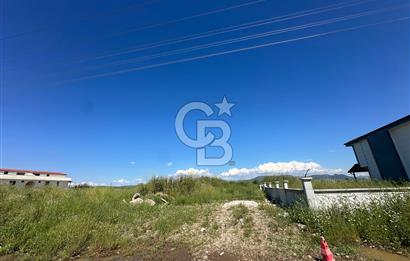 AYVALIK ALTINOVADA SATILIK ARSA