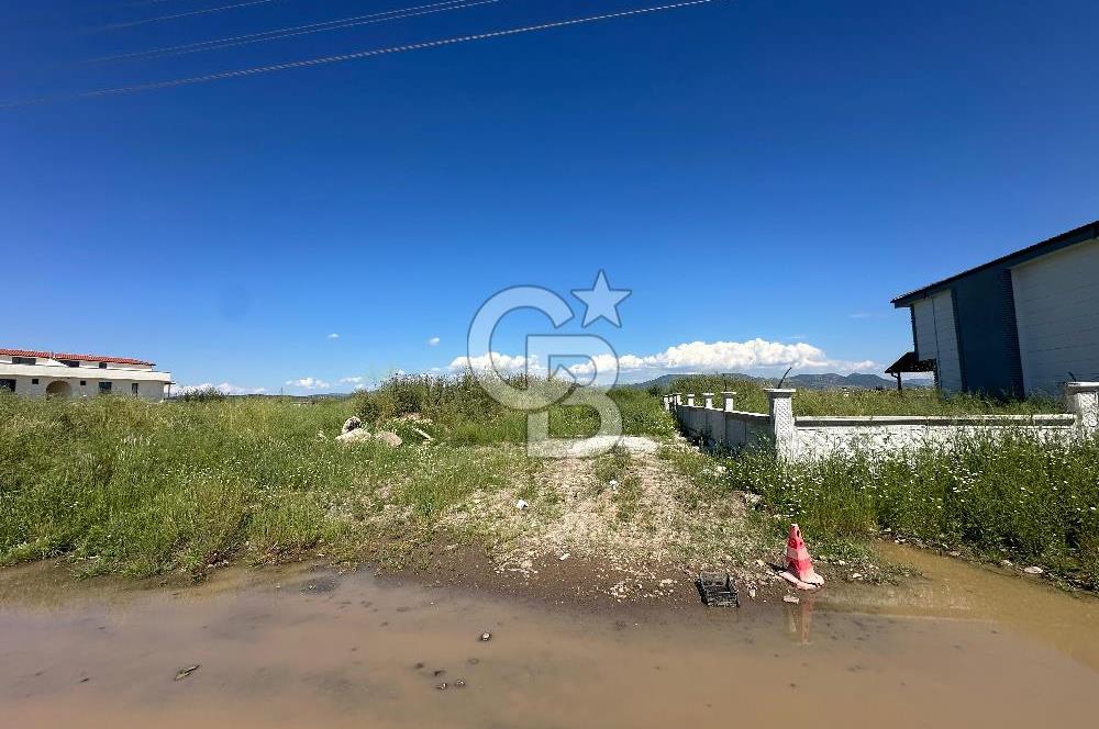 AYVALIK ALTINOVADA SATILIK ARSA