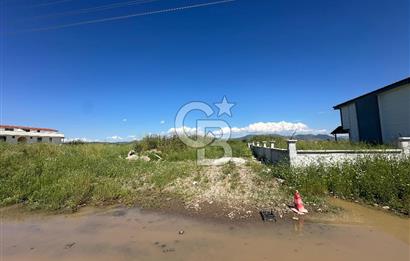 AYVALIK ALTINOVADA SATILIK ARSA