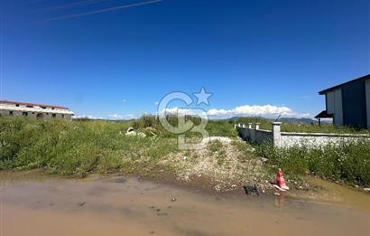 AYVALIK ALTINOVADA SATILIK ARSA
