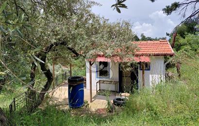 Kemalpaşa yukarıkızılca'da ev'li bağ bahçe