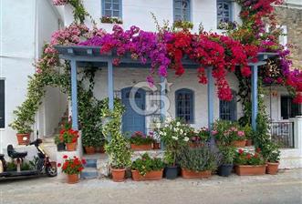 BODRUM YENİKÖY'DE MARİNA MANZARALI TİCARİ KULLANIMA UYGUN 2+1 - 5 - 350653