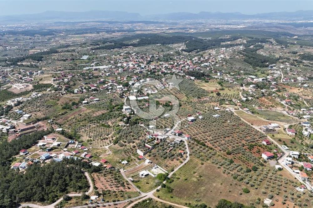 İzmir Buca Belenbaşı Köyü 1228 m2 Tek Tapu Satılık Tarla