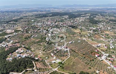 İzmir Buca Belenbaşı Köyü 1228 m2 Tek Tapu Satılık Tarla