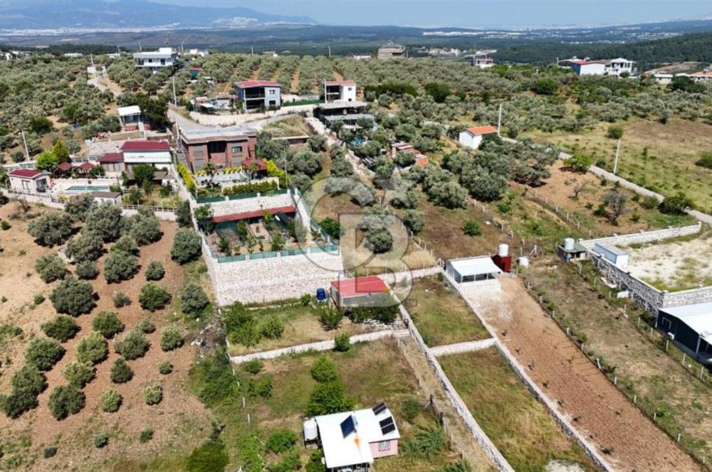 İzmir Buca Belenbaşı Köyü 1228 m2 Tek Tapu Satılık Tarla