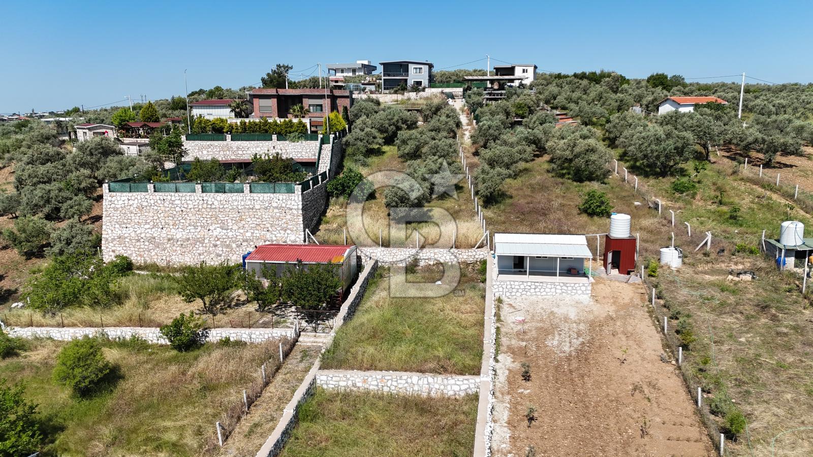 İzmir Buca Belenbaşı Köyü 1228 m2 Tek Tapu Satılık Tarla