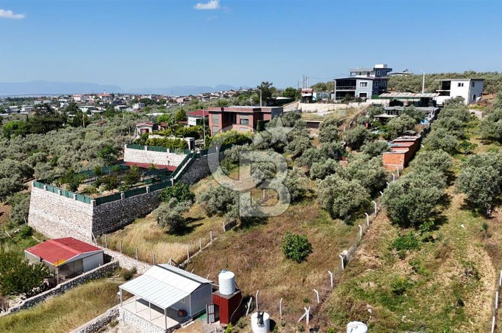 İzmir Buca Belenbaşı Köyü 1228 m2 Tek Tapu Satılık Tarla