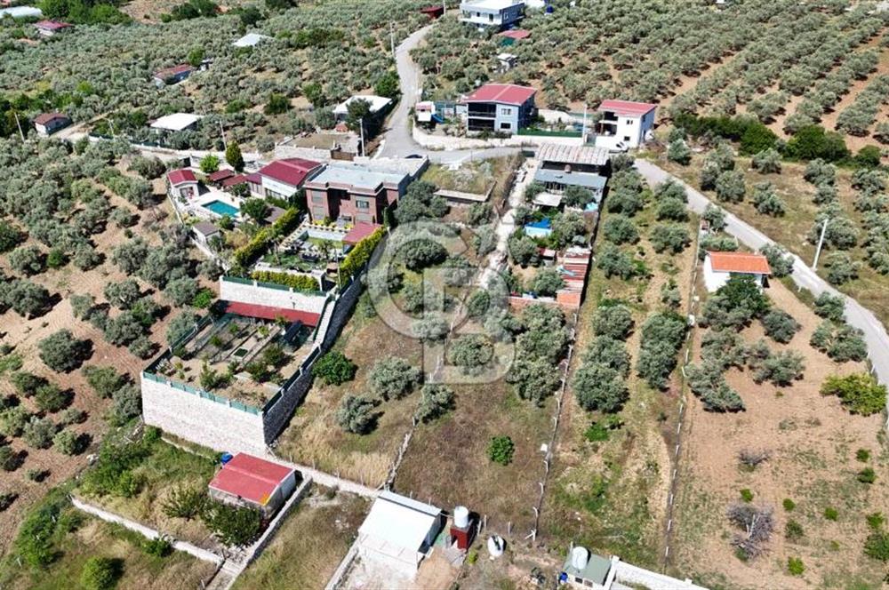 İzmir Buca Belenbaşı Köyü 1228 m2 Tek Tapu Satılık Tarla