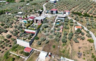 İzmir Buca Belenbaşı Köyü 1228 m2 Tek Tapu Satılık Tarla