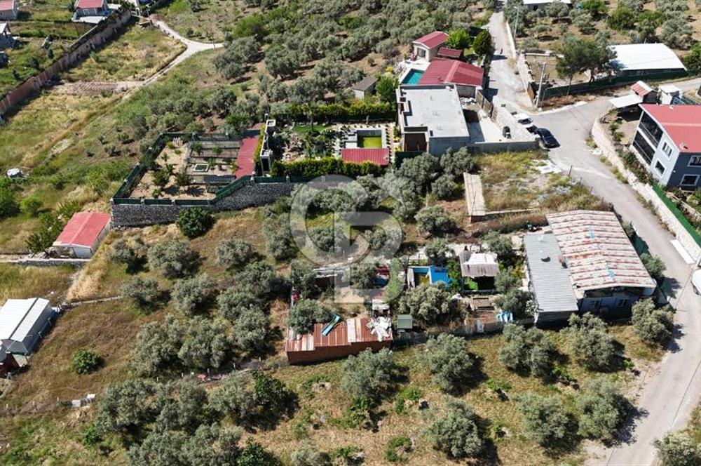 İzmir Buca Belenbaşı Köyü 1228 m2 Tek Tapu Satılık Tarla