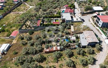 İzmir Buca Belenbaşı Köyü 1228 m2 Tek Tapu Satılık Tarla