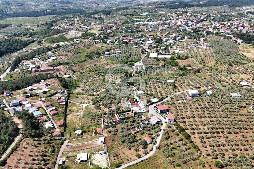 İzmir Buca Belenbaşı Köyü 1228 m2 Tek Tapu Satılık Tarla