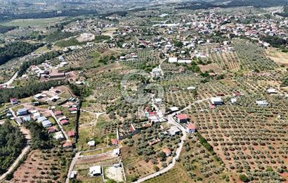 İzmir Buca Belenbaşı Köyü 1228 m2 Tek Tapu Satılık Tarla