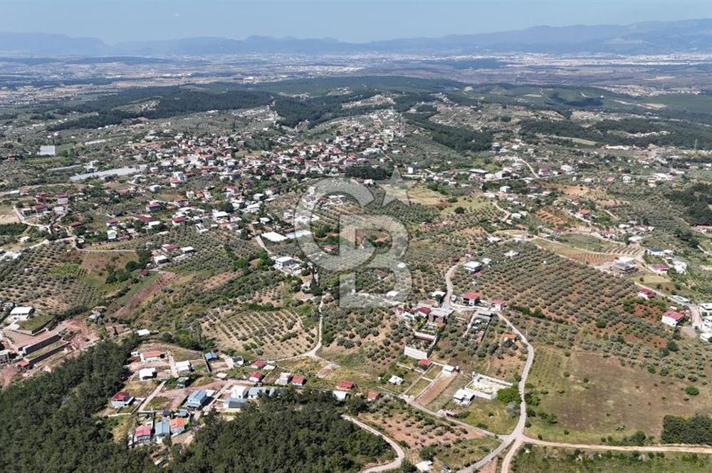 İzmir Buca Belenbaşı Köyü 1228 m2 Tek Tapu Satılık Tarla