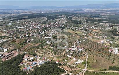 İzmir Buca Belenbaşı Köyü 1228 m2 Tek Tapu Satılık Tarla