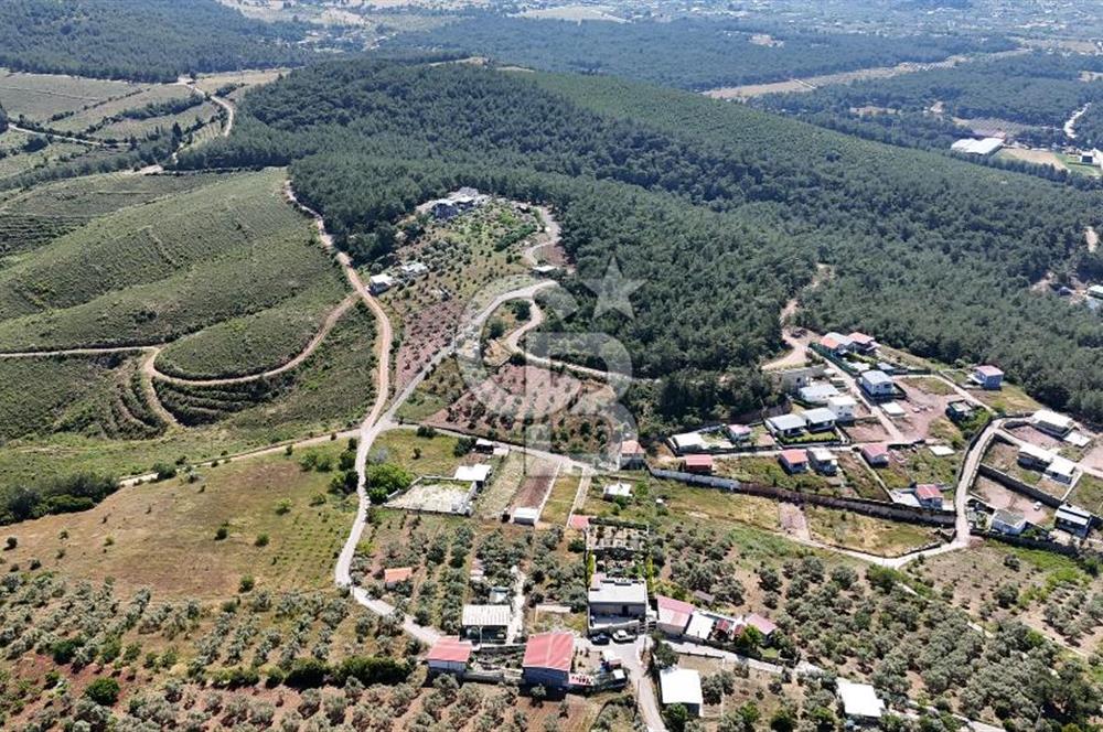 İzmir Buca Belenbaşı Köyü 1228 m2 Tek Tapu Satılık Tarla