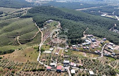 İzmir Buca Belenbaşı Köyü 1228 m2 Tek Tapu Satılık Tarla