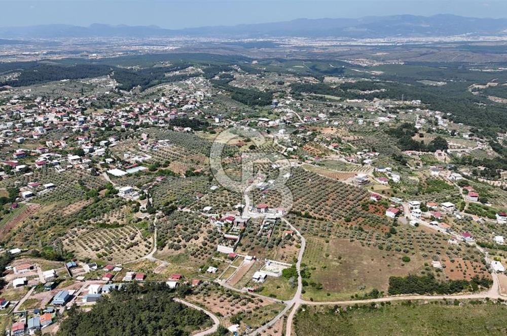 İzmir Buca Belenbaşı Köyü 1228 m2 Tek Tapu Satılık Tarla