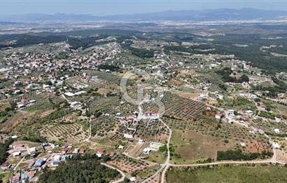 İzmir Buca Belenbaşı Köyü 1228 m2 Tek Tapu Satılık Tarla