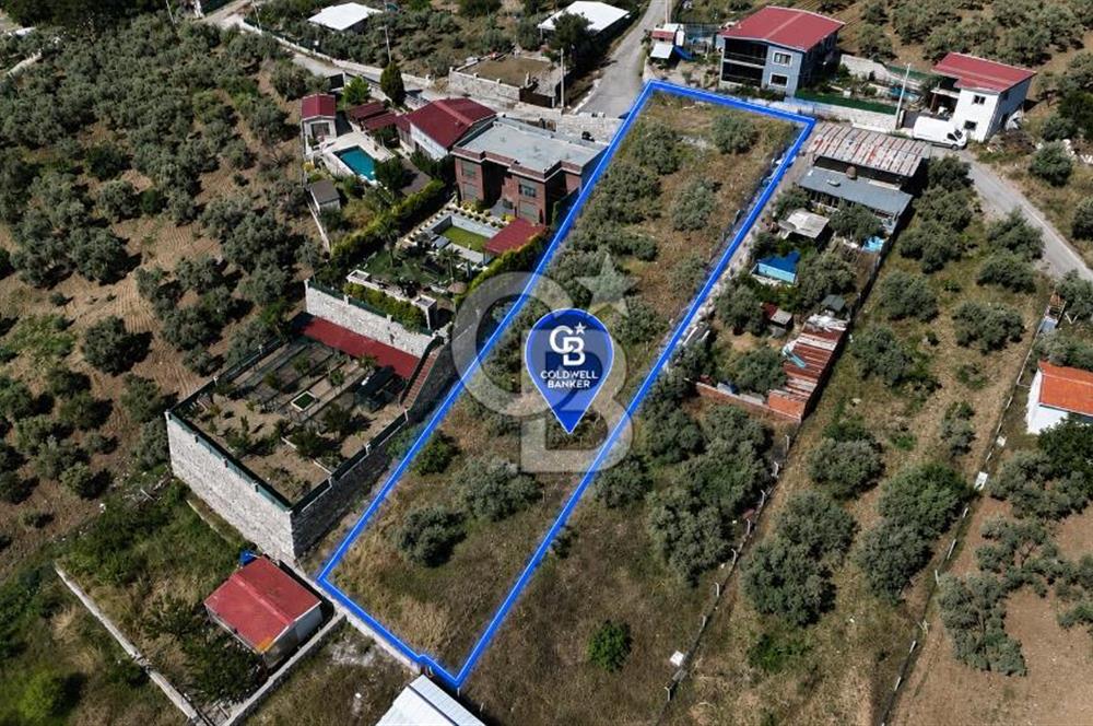 İzmir Buca Belenbaşı Köyü 1228 m2 Tek Tapu Satılık Tarla