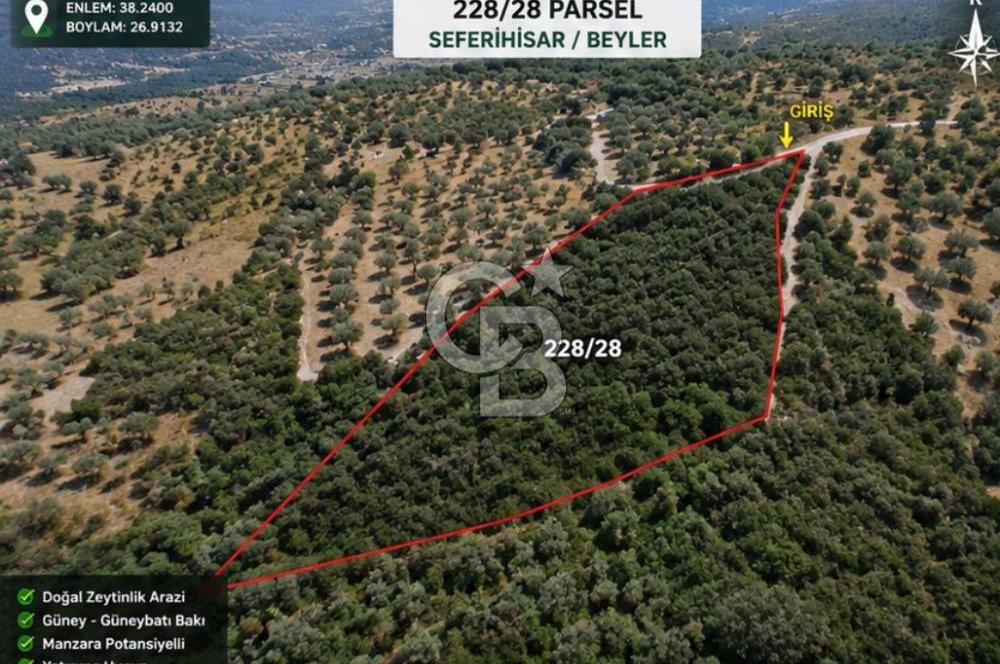 Seferihisar Beylerde Bağ Evine Uygun Güney Cepheli Zeytinlik