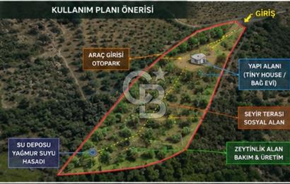 Seferihisar Beylerde Bağ Evine Uygun Güney Cepheli Zeytinlik