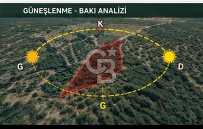 Seferihisar Beylerde Bağ Evine Uygun Güney Cepheli Zeytinlik