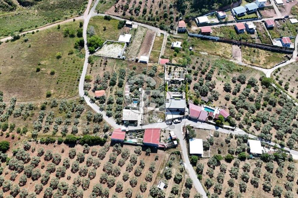 İzmir Buca Belenbaşı Köyü 1228 m2 Tek Tapu Satılık Tarla