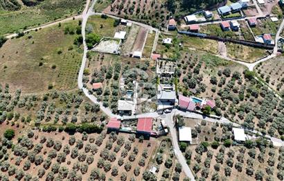 İzmir Buca Belenbaşı Köyü 1228 m2 Tek Tapu Satılık Tarla