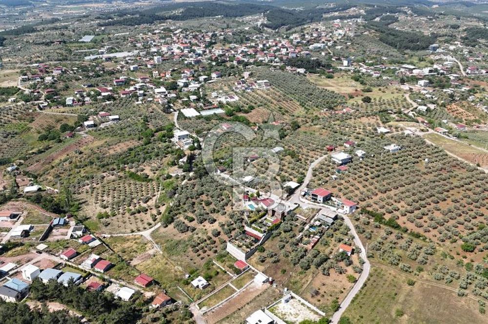 İzmir Buca Belenbaşı Köyü 1228 m2 Tek Tapu Satılık Tarla