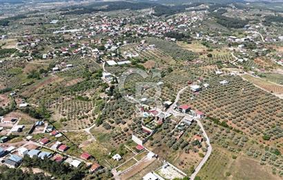 İzmir Buca Belenbaşı Köyü 1228 m2 Tek Tapu Satılık Tarla