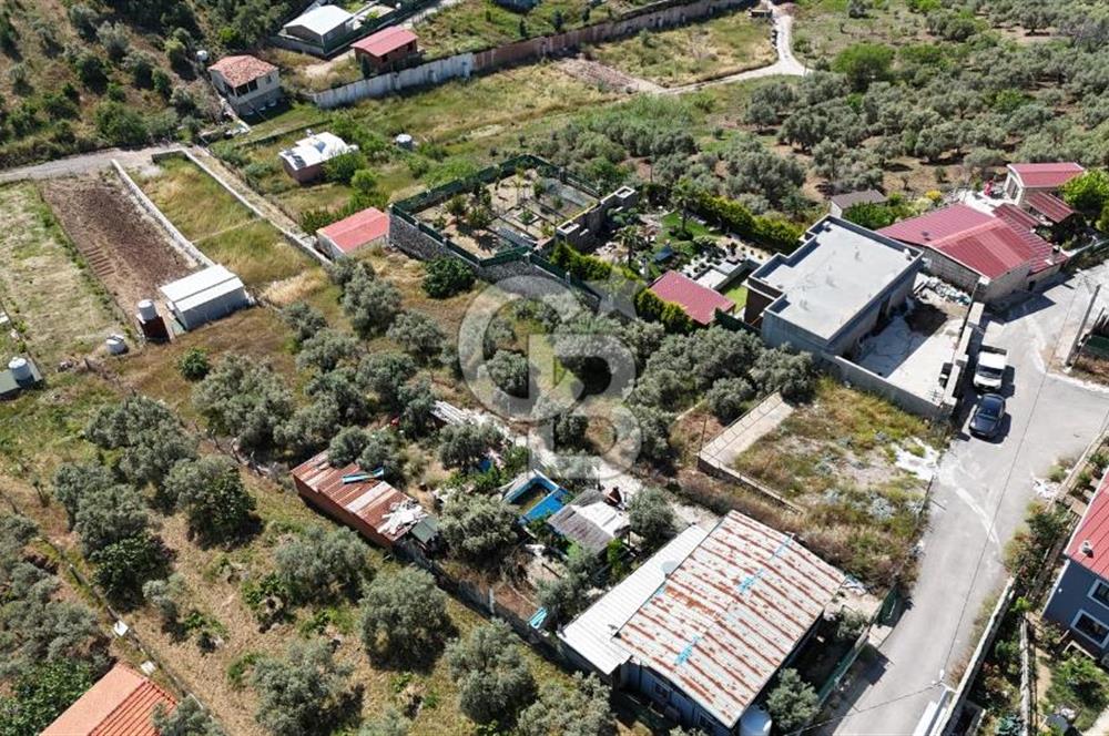 İzmir Buca Belenbaşı Köyü 1228 m2 Tek Tapu Satılık Tarla