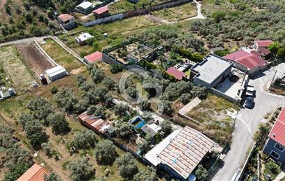 İzmir Buca Belenbaşı Köyü 1228 m2 Tek Tapu Satılık Tarla